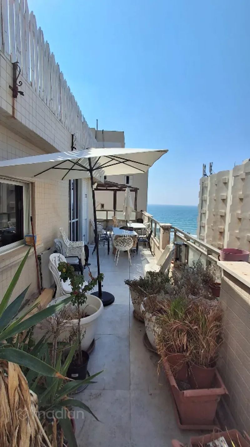תמונה ממדלן – 6 חדרים • 7,000 ₪, גינוסר 26, שכונה דרום מערב - ותיק, בת ים (1)
