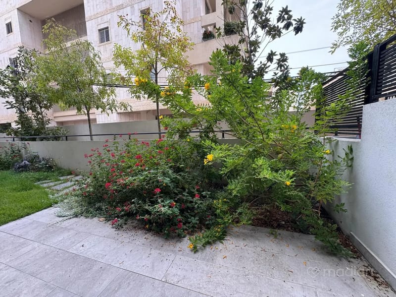 תמונה ממדלן – 3.5 חדרים • 11,800 ₪, אוורבוך 4, הדר, רמת השרון (1)