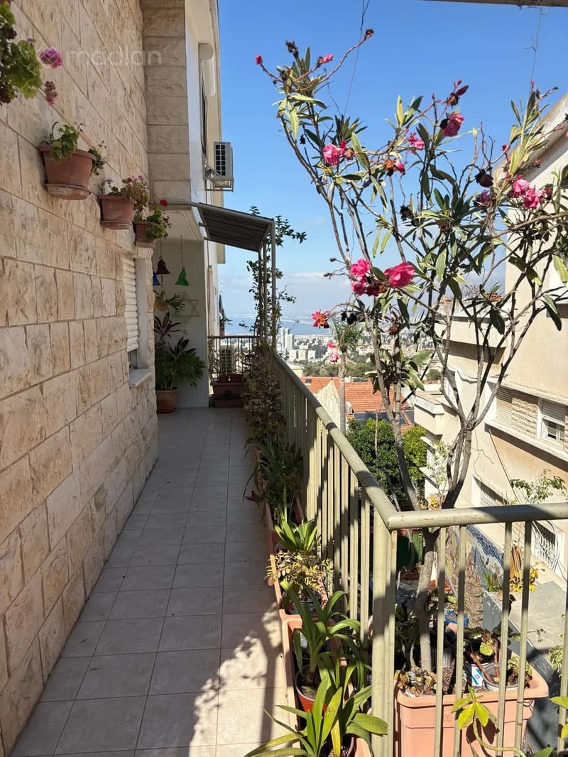 תמונה ממדלן – 7 חדרים • 3,700,000 ₪, יקינטון 27, אחוזה, חיפה (1)