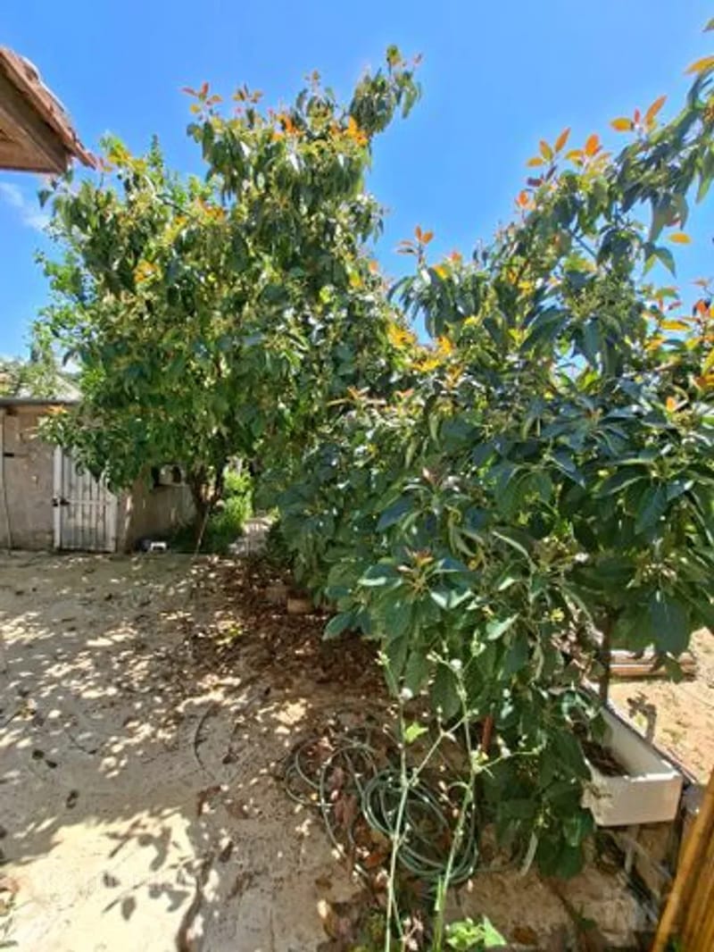 תמונה ממדלן – 4 חדרים • 3,900,000 ₪, נחמיה 1, בית ונוף, כפר סבא (1)