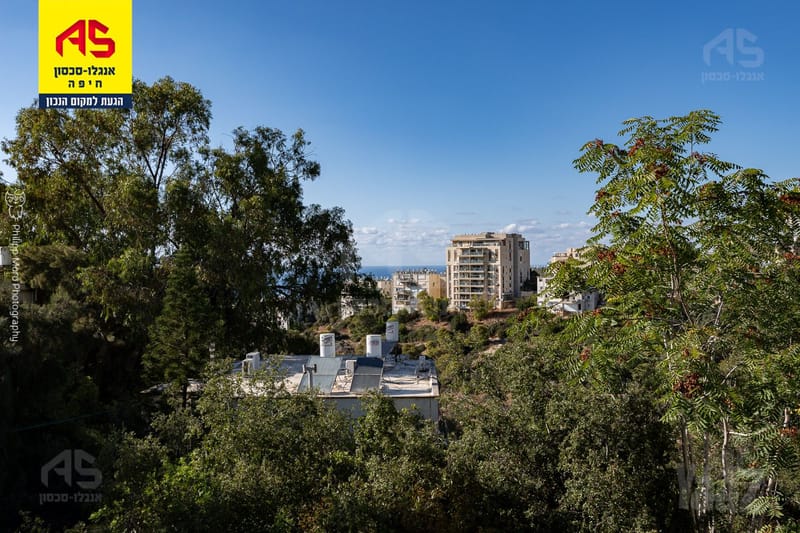 תמונה מיד2 – 3.5 חדרים • 4,200 ₪, שונמית, רמת התשבי, חיפה (1)
