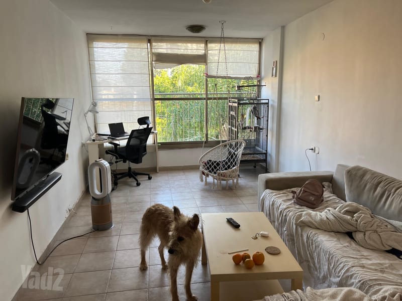 תמונה מיד2 – 3 חדרים • 4,900 ₪, התחייה 9, מגדיאל, הוד השרון (1)