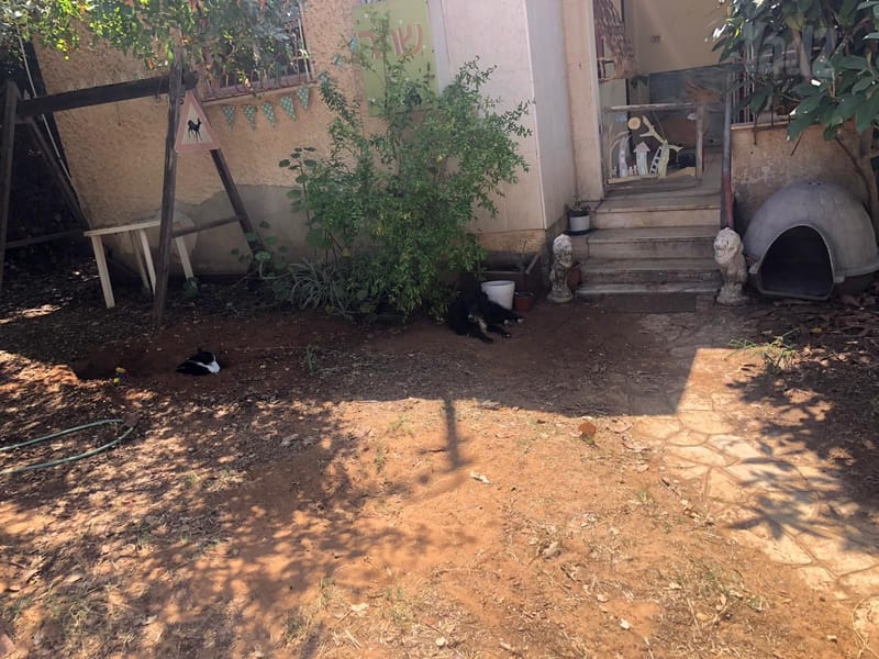 תמונה מיד2 – 3 חדרים עם שותפים • 2,500 ₪, הבוטנים 11, מרכז פרדס חנה, פרדס חנה-כרכור