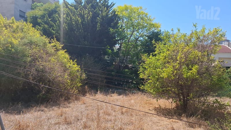 תמונה מיד2 – 5 חדרים • 7,500,000 ₪, מוהליבר, צפון מזרח מרכז העיר, נתניה (1)