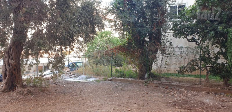 תמונה מיד2 – 2 חדרים • 2,500 ₪, מסדה 46, מסדה, חיפה (1)