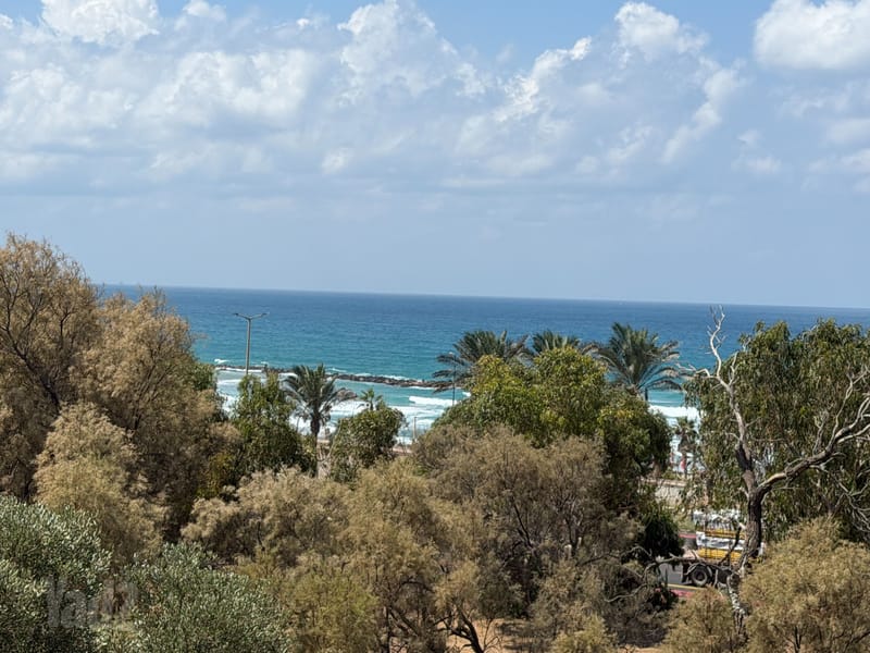 תמונה מיד2 – 3 חדרים • 3,000 ₪, המלך אסא, נווה דוד, חיפה (1)