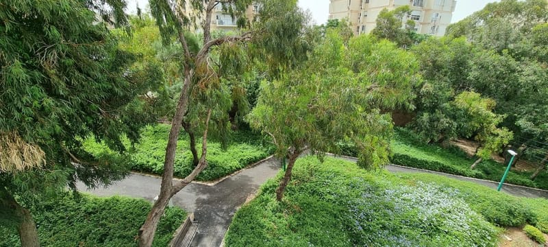 תמונה מיד2 – 3 חדרים • 3,400 ₪, ז'אן ז'ורס 5, קריית שפרינצק, חיפה (1)