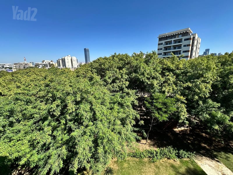 תמונה מיד2 – 3 חדרים • 9,300 ₪, קהילת לודז' 64, הדר יוסף, תל אביב (1)