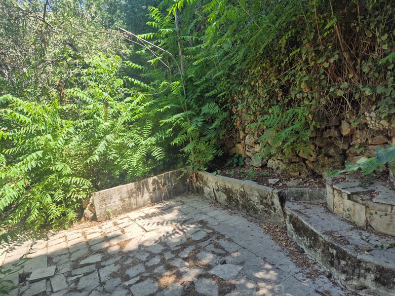 Photo from Yad2 – 3 Rooms • ₪6,500, טשרניחובסקי, Givat HaVradim, Jerusalem (1)
